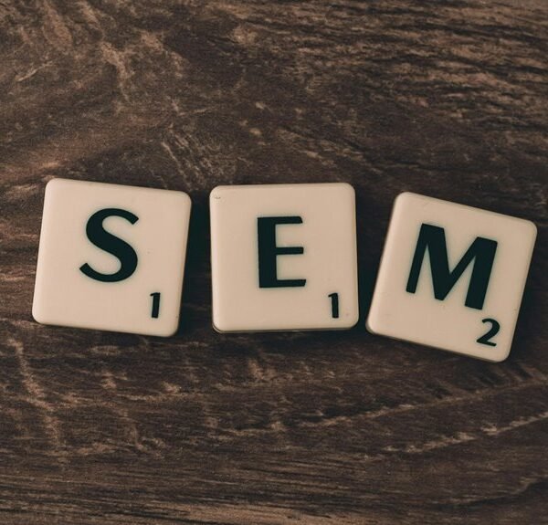 website authority seo strategy